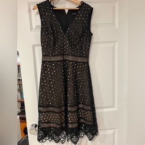 Tadashi Shoji beautiful eyelet dress. size 8.